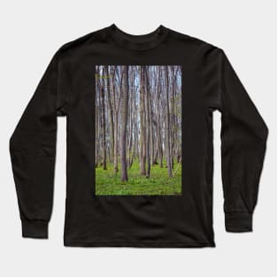 Hornbeam forest Long Sleeve T-Shirt